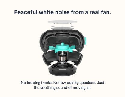 Snooz White Noise Machine with App Control